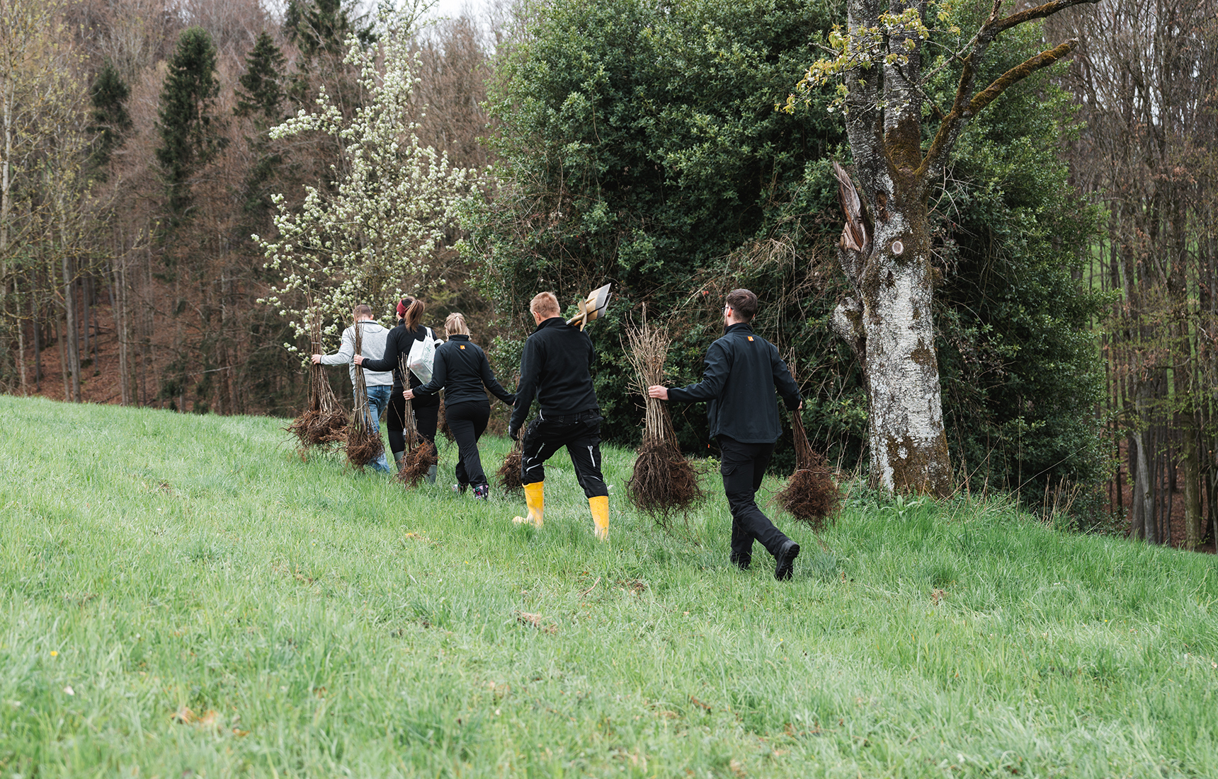 RIKA Reforestation project